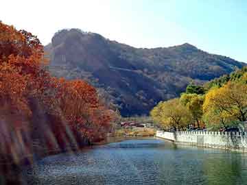 澳门红姐论坛精准两码300期，海意背景